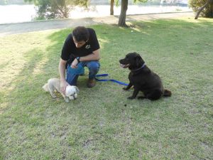 חינוך גור לצרכים עם שלום שוקרון